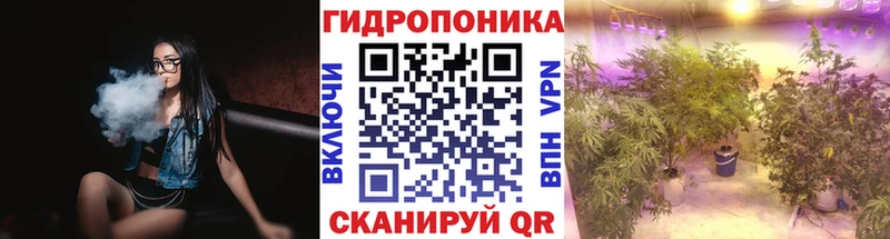 Конопля планчик  Купить закладки  Горно-Алтайск 